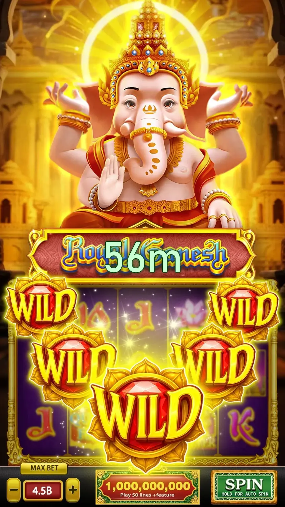 56m Login